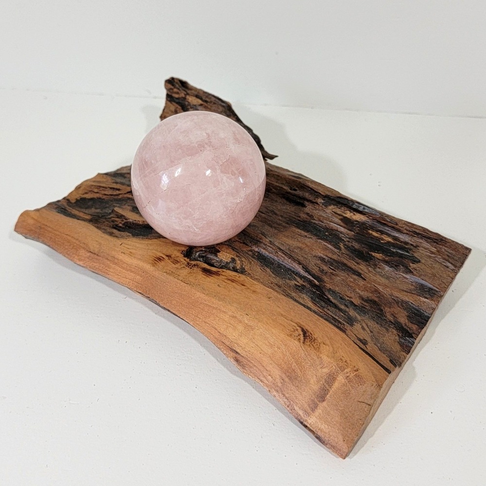 Live Edge Wood Slab Natural Display Stand for Crystals or air plants